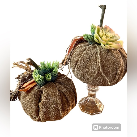 Set of 2 Handmade Succulent Chenille Fall Pumpkins - Fabric Fall Pumpkins - Boho - Picture 2 of 14